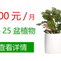 北京绿植租赁中小型绿植出租公司